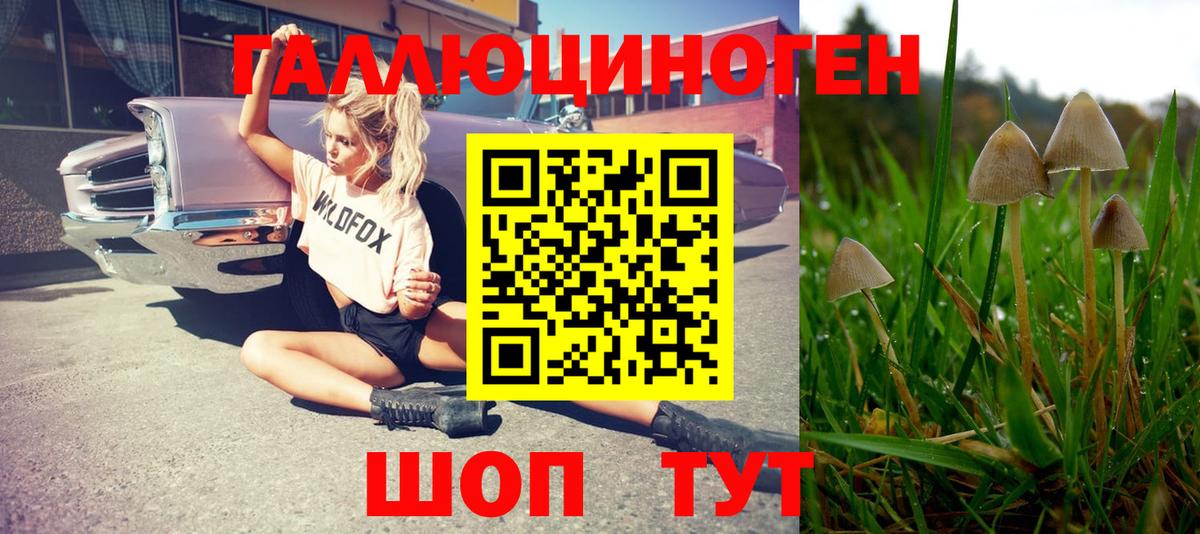 Псилоцибиновые грибы GOLDEN TEACHER  Галлюциногенные грибы MAGIC MUSHROOMS  Рубцовск  Вход с VPN 